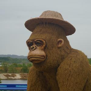 一顿十个馒头 头像