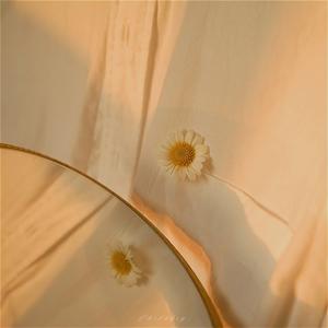 聪明的墨菲特z 头像