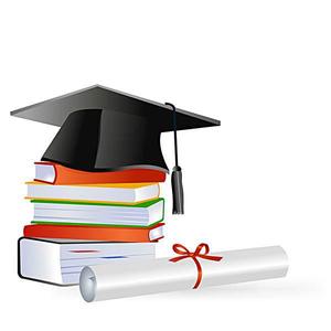 亲切饺子S 头像