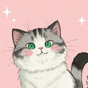 人间的猫 头像