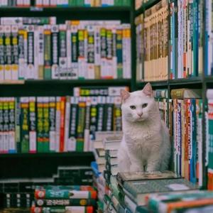 云云在成长 头像