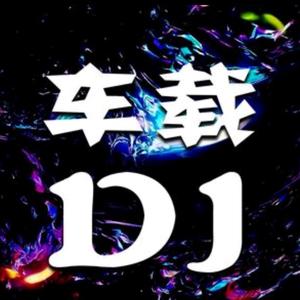 《车载DiscoDJ》舞曲音乐 头像