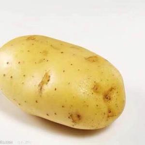 爱新觉罗 土豆 头像