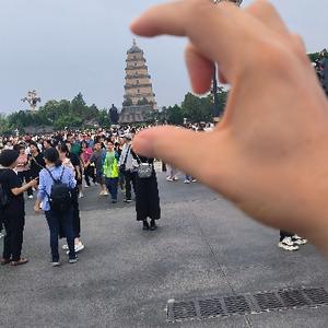 沐春风老师 头像