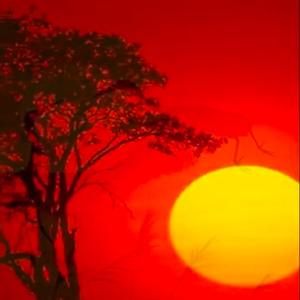夕阳 头像