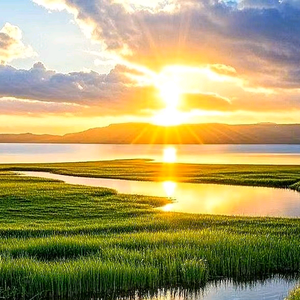 云端之上6006 头像