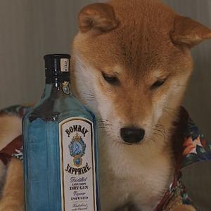 微光 头像