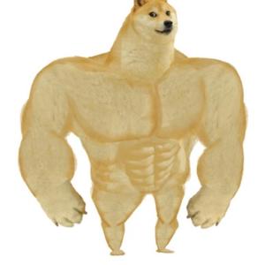 肌肉狗嘿嘿 头像