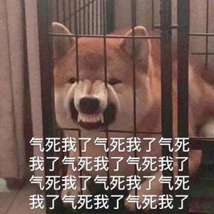 广东落魄运营 头像