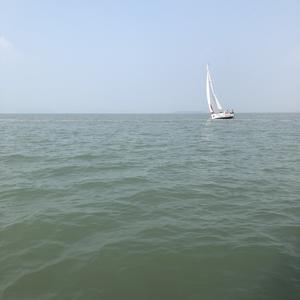 阿杰看城市 头像