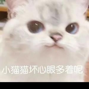 真的是诺诺吖 头像
