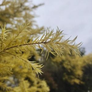 保利养老人苏叔 头像