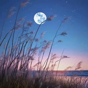 五一大人好啊 头像