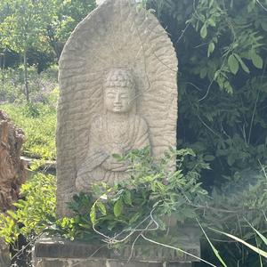 不忘初心^_^ 头像