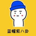 蓝帽紫 头像