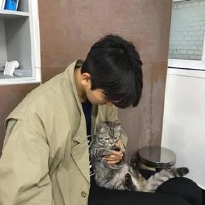 灰尘往事 头像
