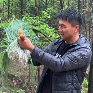 大山里的小郭 头像