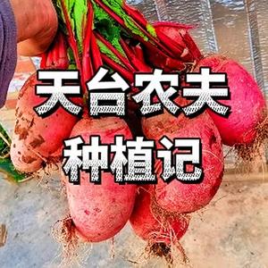 天台农夫种植记头像