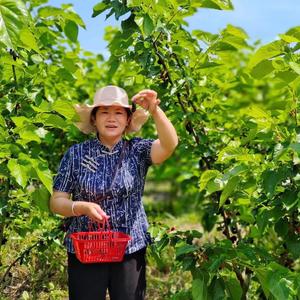 勇叔农场勇婶头像