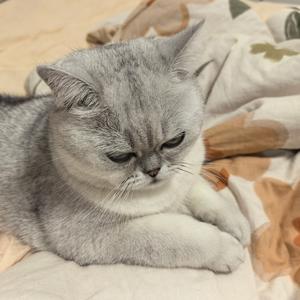 若爱💋会伤 头像