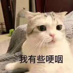 小小槿同学 头像