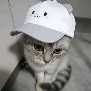 雾里 头像