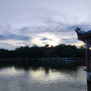 修修的江哥 头像