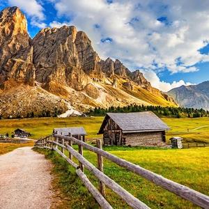 努力奔跑的章鱼哥 头像