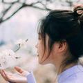 呆呆Life慧 头像