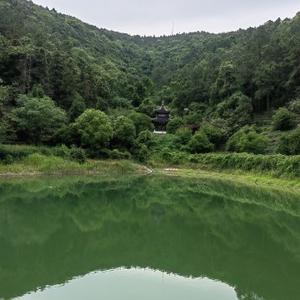 鸭鸭说法 头像