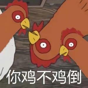 龟速观察站 头像