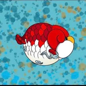 茶酒伴儿一金鱼微纪录 头像