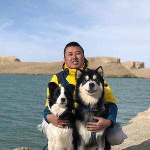 土狗是不是不好调教 西安霍尔训犬工作室的回答 头条问答