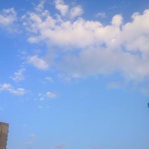 嗨猪的家庭 头像