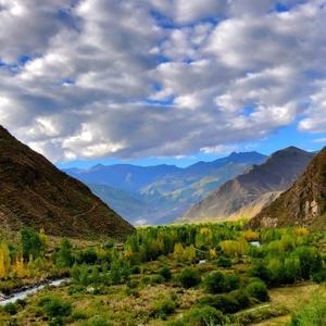 小李爱看新闻 头像