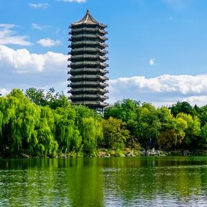 诗润青春 头像