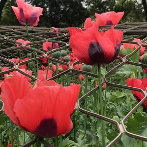 乐天派打工人oeCA 头像