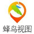 蜂鸟视图 头像