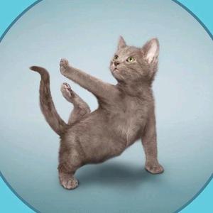 没有治不好的斑 头像