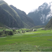 僧穷的世界 头像