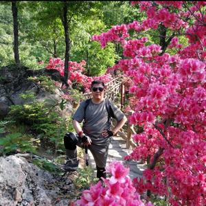 逐梦大自然 头像