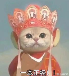 剑三梁笑棠 头像