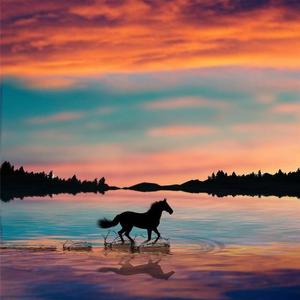 骏马无缰任驰骋 头像