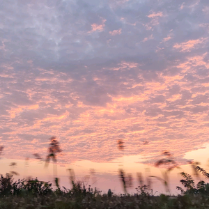 一木··聊科技那点事 头像