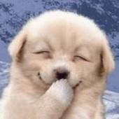 那一抹淡淡的 头像