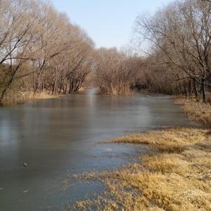 宁宁的静溺水的鱼 头像