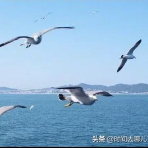 波澜不惊CQ