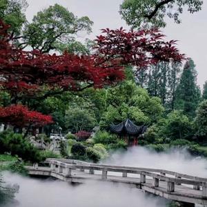 乱花飞絮步香茵