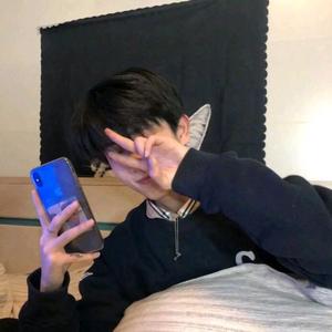 赛文家的猫warframe 头像