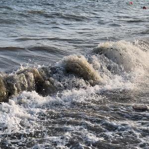 海水核辐射检测日志头像